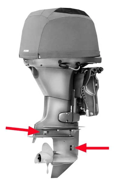 Figura ufficiale della domanda (Elementi di funzionamento dei sistemi di propulsione a motore): Quale parte del motore fuoribordo in figura indicano le frecce?