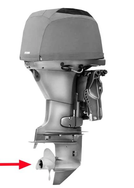 Figura ufficiale della domanda (Elementi di funzionamento dei sistemi di propulsione a motore): Quale parte del motore fuoribordo in figura indica le freccia?